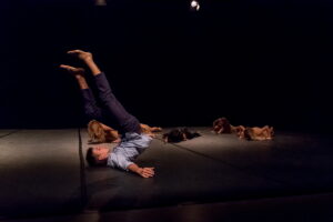 Invito alla danza 2018
